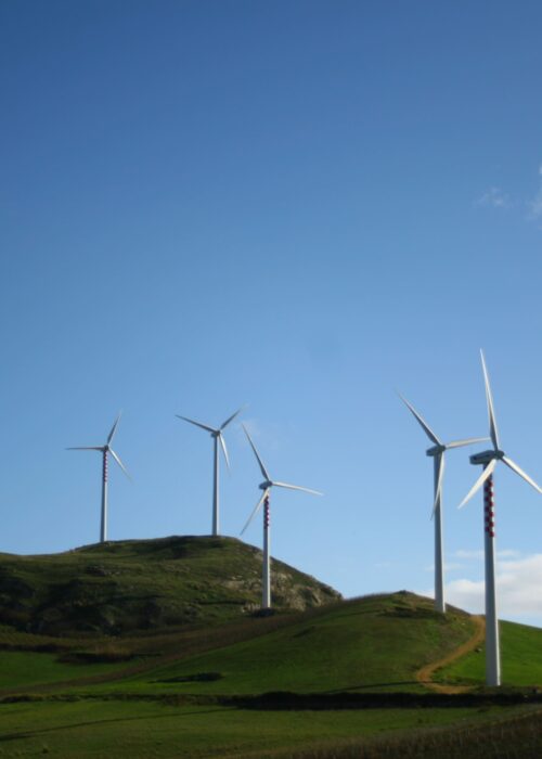 Own Development and Sell-Out