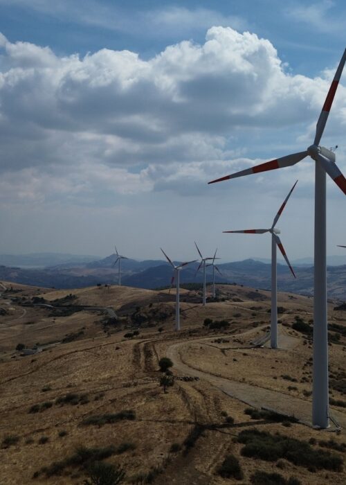 Sviluppo in proprio e cessione