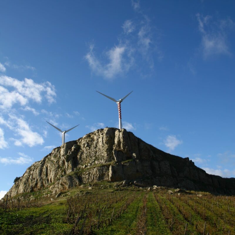 Development Services